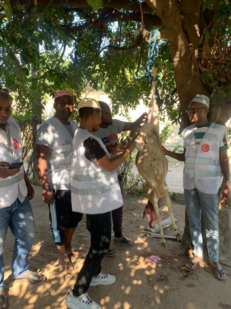 Mozambique Votive Cuts