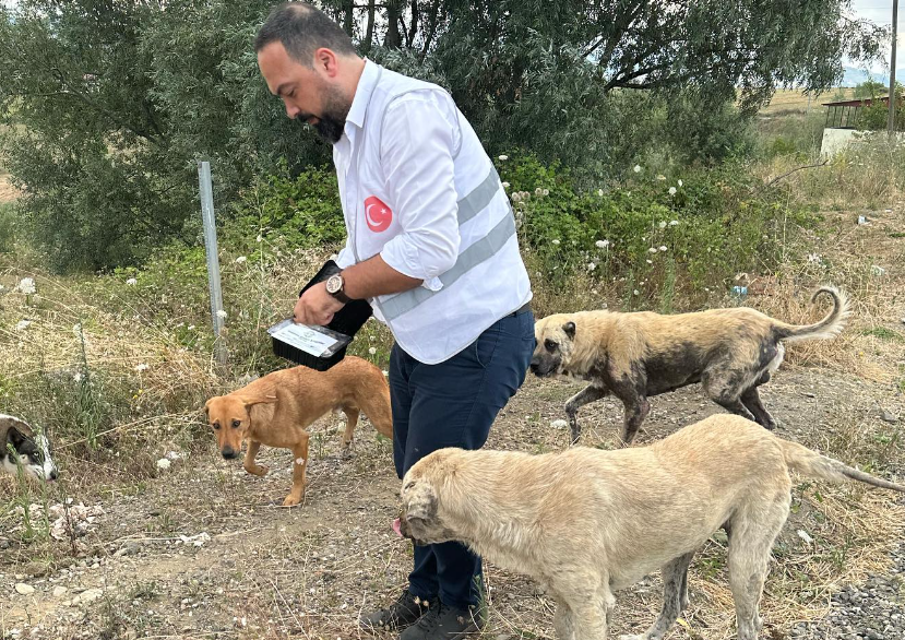 Food Distribution to Animals